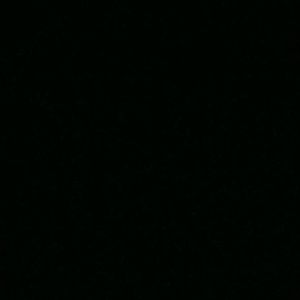 Meet your Posher, Dalton